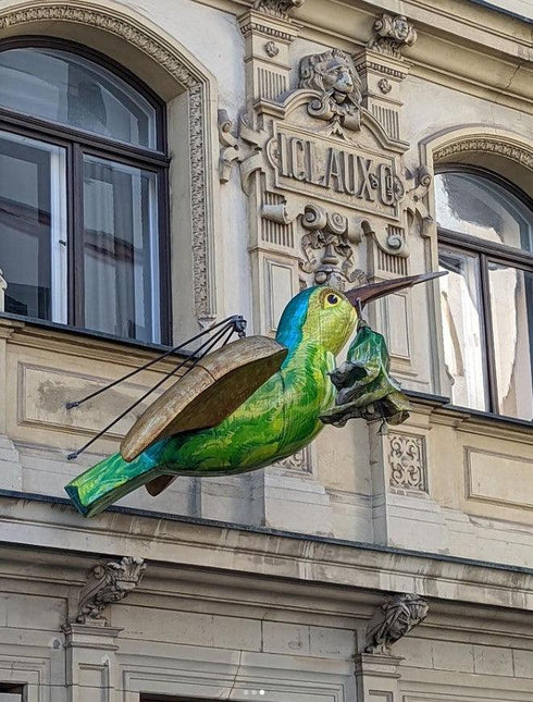 Kolibri Ulm - Geschenkgutschein